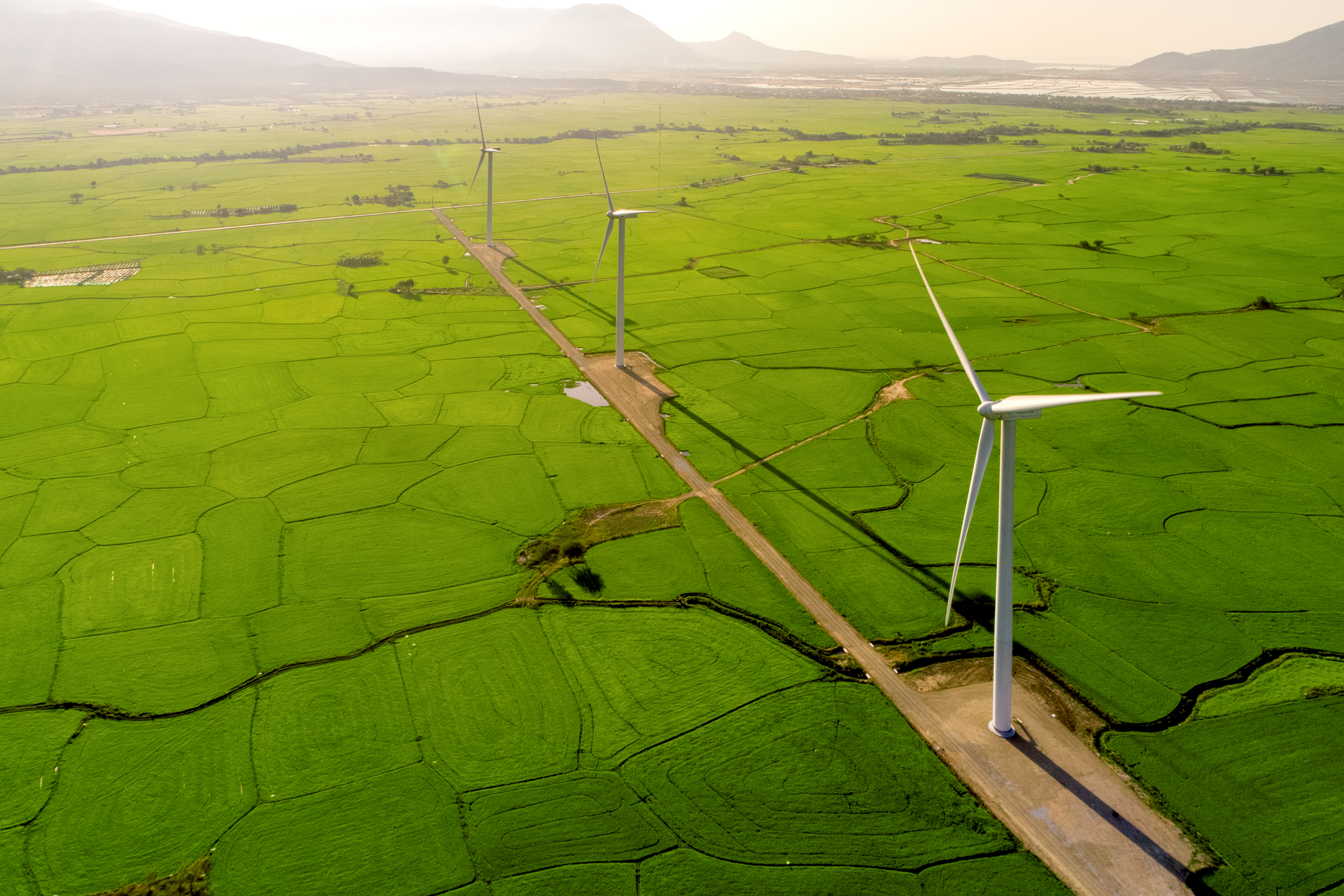 Wind farms producing more sustainable energy.